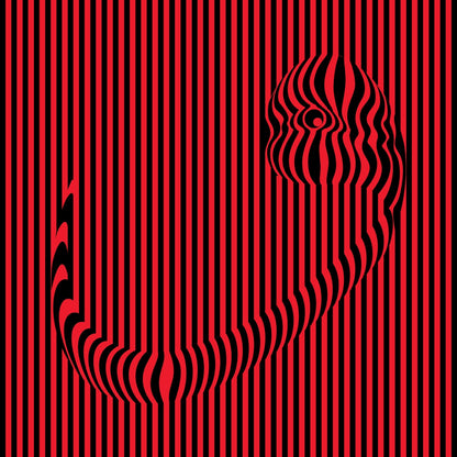 The Space Of the Observer